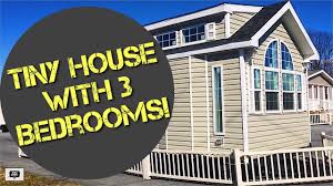 Quality tiny homes for sale! Tiny House With 3 Bedrooms Youtube