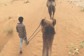 6, near the front line that pushed through the in the end, she was technically the only person to have been killed on capitol hill that day, as. Delhi And Pushkar Camel Rides And Beautiful Views