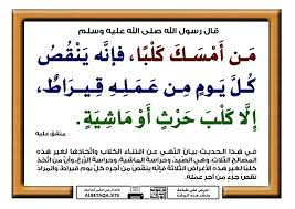 احرص على مشاركة هذه البطاقة لإخوانك فالدال على الخير كفاعله ahadith arabic quotes hadith