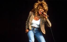 Tina Turner: One Last Time, Live in Concert - Stingray