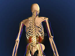 This pain is just annoying as its not as bad to prevent me from moving or do stuff, but it is very upsetting to have to. Interchondral Ribs Stock Photos Royalty Free Images Focused