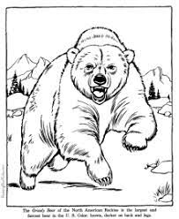 Download and print these grizzly bear coloring pages for free. Zoo Animals Coloring Pages Zoo Animal Coloring Pages Animal Drawings Animal Coloring Pages
