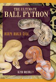 The Ultimate Ball Python Morph Maker Guide By Kevin