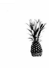 Image result for Ancylobothrys pyriformis