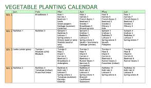 allotment heaven vegetable planting calendar