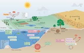 Extend the activity by heating the water to boiling and taking the temperature of the water just as it begins to boil. Scientists Warning To Humanity Microorganisms And Climate Change Nature Reviews Microbiology