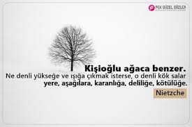 Sam van aken bir ilke imza atarak 40 farklı çeşit meyve veren bir ağaç yetiştirdi. Agac Ile Ilgili Sozler Agac Sozleri Pek Guzel Sozler
