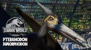 Use a ton of narcotics i recommend bio toxin it's torpor goes down faster than a pteradon. Pteranodon Dimorphodon Breakout Jurassic World Evolution Mods 4k 60fps Youtube