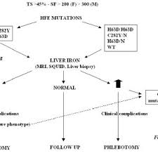 flow chart for hemochromatosis diagnosis based on genotype