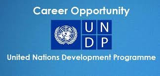 Multiple United Nations Development Programme Undp Job Vacancies All Nationalities United Nations Development Program International Development Development