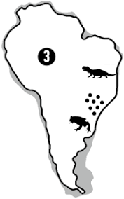 Cut out the plates along the dotted lines and reassemble them on a. Https Www Amnh Org Content Download 49383 751589 File Dinos Plate Tectonics Pdf