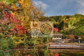 Photos, address, and phone number, opening hours, photos, and user reviews on yandex.maps. Japanischer Garten Im Westpark Munchen Fototapete Fototapeten Ententeich Herbstlaub Japanischen Garten Myloview De