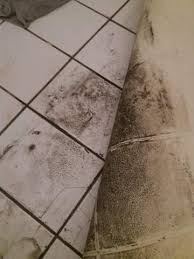 Wenn die seifenreste hoch sind, fördern sie ein schnelleres wachstum des rosa schimmel, besonders in der dusche. Schimmel Oder Dreck Unter Pvc Badezimmer Schimmelbefall Pvc Boden