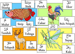 Berdasarkan penyebaran geografisnya, bahasa arab percakapan memiliki banyak variasi (dialek), beberapa dialeknya bahkan. Love Ghostspells Kamus Bahasa Arab Bergambar Anggota Badan Haiwan