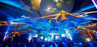 Image result for goa party