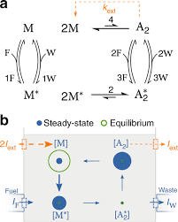 Thermodynamic Efficiency In Dissipative Chemistry Nature Communications