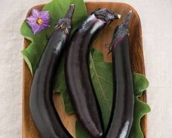 Image of Orient Express eggplant