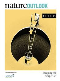 About the book * 55% discount for bookstores! Unravelling The Mystery Of Opioid Addiction