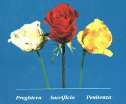 Risultati immagini per MADONNA CON TRE ROSE SUL PETTO