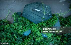 56 Yosemite Lodge Stock Photos, High-Res Pictures, and Images