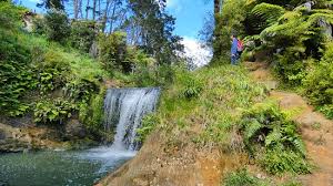 Check spelling or type a new query. Oakley Creek Waterfall Auckland Review Of Oakley Creek Walkway Auckland Central New Zealand Tripadvisor