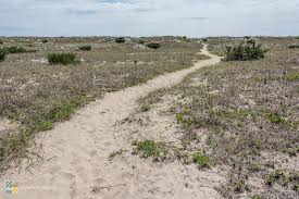 Salvo Nc Outerbanks Com