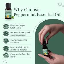 Image result for Peppermint Oil