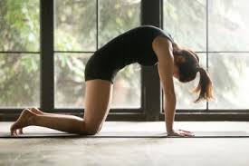 When it comes to yoga, the best thing you can do is start slow to build your foundational muscles and form. The 18 Best Yoga Poses For Beginners Yoga Basics