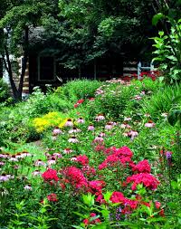 Pin By John Magee On Natives Garden Design Native Plant Gardening Plants
