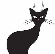 Chat Noir Nail Studio Home Facebook