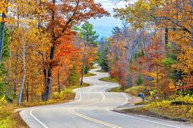 Prev next > turn a gourd into a birdhouse recreation in aurora, il usa turn a gourd into a birdhouse saturday, april 18, aurora, 1pm, $30 break out your inner artist to paint a birdhouse. 14 Top Rated Things To Do In The Midwest Planetware