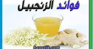فوائد الزنجبيل المذهلة فوائد الزنجبيل للشعر ماهي فوائد الزنجبيل الزنجبيل للتخسيس food animals dog food recipes food