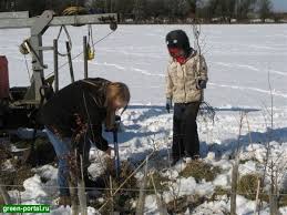 Bütün meyve ve sebzeleri muzlardan uzak tutun. Bir Meyve Agaci Bahcesi Nasil Planlanir Bitki Oncesi Toprak Hazirligi Bir Sebze Bahcesi Planlarken Hangi Faktorlerin Dikkate Alinmasi Gerekir