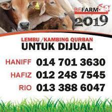 Golongan penternak lembu di melaka berdepan kemerosotan permintaan bagi ternakan korban harga mahal dan akibatnya jualan kian berkurangan. Yusuf Azmi Bffarm Harga Terkini Lembu Korban 1440h Facebook