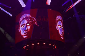 Vetstreet does not provide medical advice, diagnosis, or treatment. Diandra Reviews It All Bad Bunny Siempre Picheo En Msg