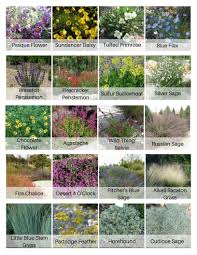 Planting edible ground cover is a great way to have fresh herbs and control the weeds in your garden. 29 Landscaping Ideas Garden And Yard Garden Front Yard