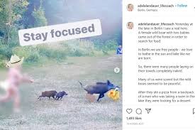 Sudah dijelaskan sedikit di atas bahwa remaja merupakan fase dikutip dari cleveland clinic, pada perkembangan di masa remaja, akan ada beberapa perubahan. Viral Foto Turis Telanjang Kejar Babi Hutan Yang Curi Laptop Nya Halaman All Kompas Com