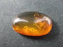 vec stone club