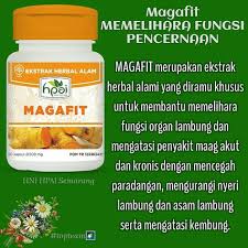 Magafit Obat Maag Akut Maag Kronis Herba Herbal Alami Herbal