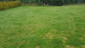 Image result for site:byggahus.se Algomin