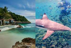 Pulau di terengganu juga menjadikan terengganu antara destinasi pilihan untuk rakyat malaysia mahupun pelancong untuk bercuti. Mahu Bercuti Kenali 5 Pulau Yang Boleh Dikunjungi Di Terengganu Astro Awani