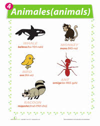 Check spelling or type a new query. Animal Names In Spanish Worksheet Education Com Spanish Names Spanish Animals Education Com
