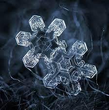 amazing close up photos of snowflakes will give you goosebumps スノーフレーク 結晶 雪
