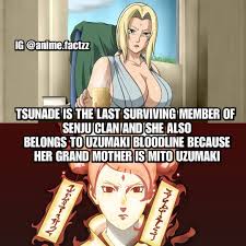 Pin On Anime Facts