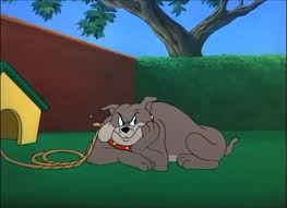 Tom And Jerry Evil Eye Rolls 1952 Coub The Biggest Video Meme Platform