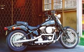 Image result for Bright Wineberry 1993 FXSTS