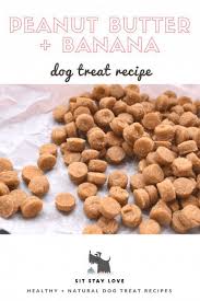 Here are 15 different recipes and notes for making dog biscuits best suited for your best friend. Peanut Butter Banana Training Treats By Sit Stay Love Healthy Dog Treats Homemade Homemade Dog Cookies Dog Biscuit Recipes