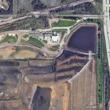 Hark! The Christmas flamingos have arrived