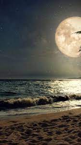 Beach Sand Night S Moon Palm Tree Nature 720x1280 Wallpaper Scenery Wallpaper Moon Photography Moon Art