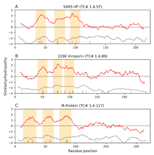 Wie alle frauen ihrer familie arbeitet sie als näherin im berühmten revuepalast „national wintergarden. Ijms Free Full Text The Sars Coronavirus Infection Cycle A Survey Of Viral Membrane Proteins Their Functional Interactions And Pathogenesis Html